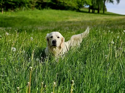 Platz zum toben