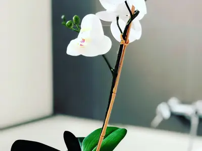 Ferienwohnung für 4 Personen (65 m²) in Großräschen 6/10