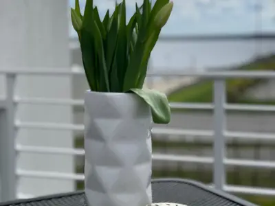 Ferienwohnung für 4 Personen (65 m²) in Großräschen 7/10