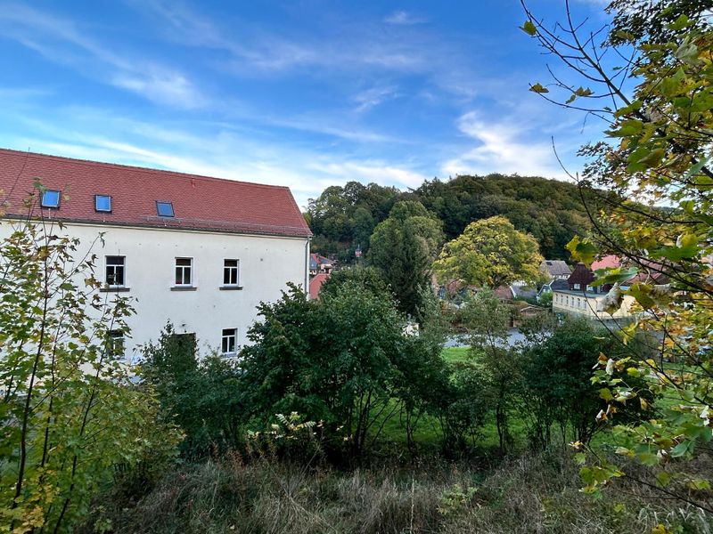 23897883-Ferienwohnung-2-Großschönau-800x600-2