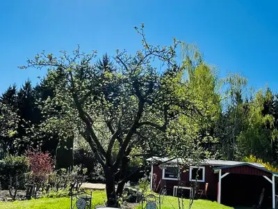 Ferienwohnung für 4 Personen (65 m²) in Großschönau 4/10