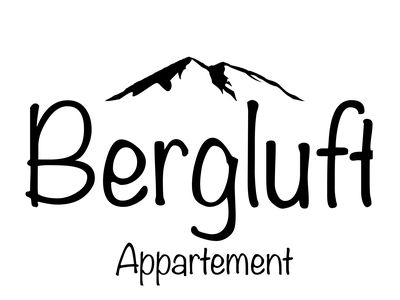 LogoBERGLUFT