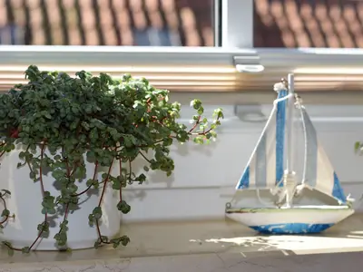 Ferienwohnung für 2 Personen (57 m²) in Grube 2/10