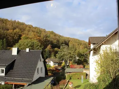 Ferienwohnung für 2 Personen (38 m²) in Grünebach 8/10