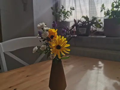 Ferienwohnung für 4 Personen (70 m²) in Grünhainichen 4/10