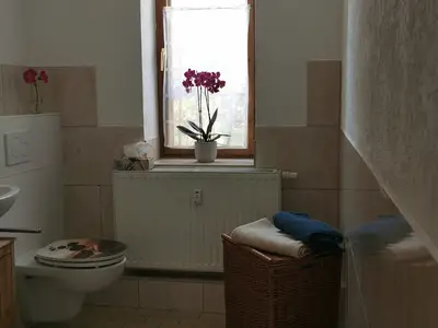 Ferienwohnung für 4 Personen (70 m²) in Grünhainichen 6/10