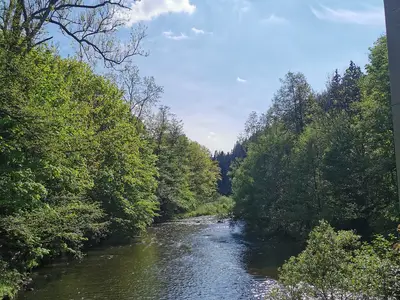 Ferienwohnung für 4 Personen (70 m²) in Grünhainichen 9/10