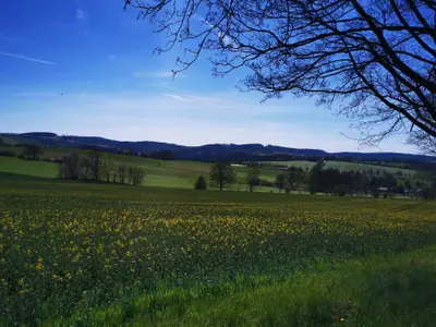Ferienwohnung für 4 Personen (70 m²) in Grünhainichen 10/10