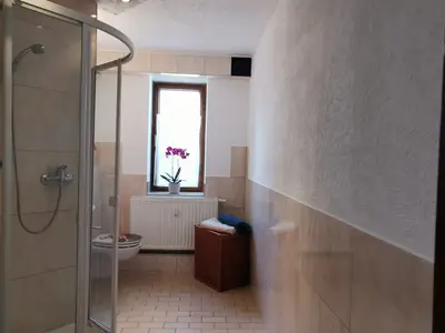 Ferienwohnung für 4 Personen (70 m²) in Grünhainichen 7/10