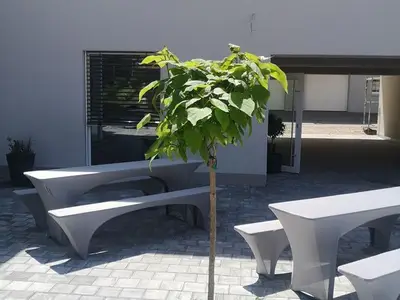 Ferienwohnung für 5 Personen (64 m²) in Grünkraut 7/10