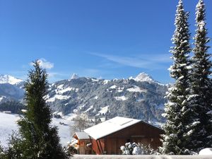 23952122-Ferienwohnung-9-Gstaad-300x225-1