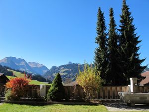 23952122-Ferienwohnung-9-Gstaad-300x225-2