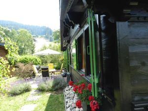 18372055-Ferienwohnung-2-Gstaad-300x225-5