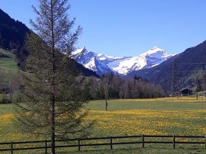 Aussenansicht Sommer