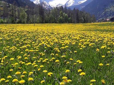 Aussicht Frühling