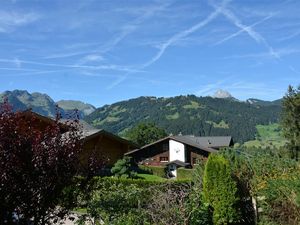 18371635-Ferienwohnung-8-Gstaad-300x225-4