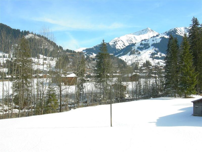 18726760-Ferienwohnung-2-Gstaad-800x600-2