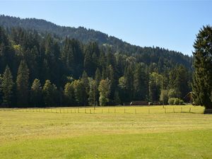 18371776-Ferienwohnung-6-Gstaad-300x225-5