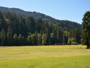 18371810-Ferienwohnung-7-Gstaad-300x225-5