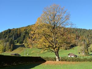 18371818-Ferienwohnung-8-Gstaad-300x225-2