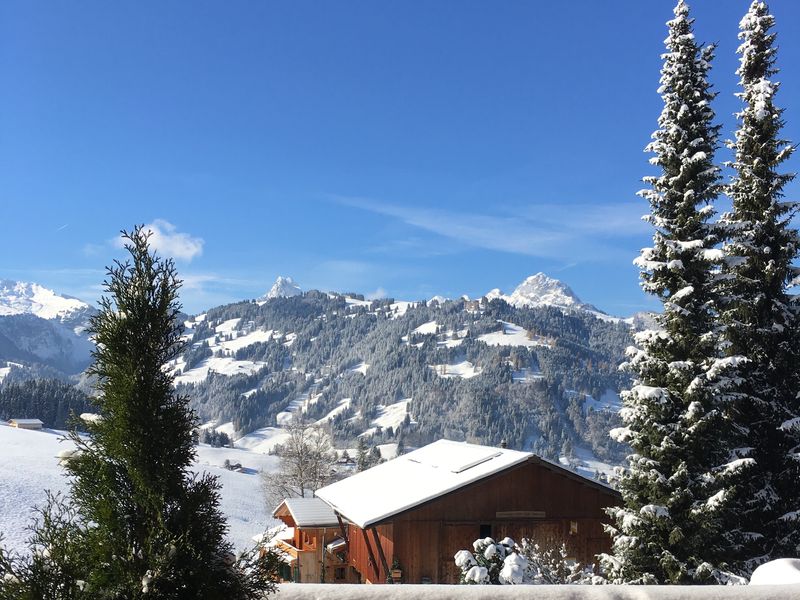 19397335-Ferienwohnung-9-Gstaad-800x600-1