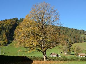 18371958-Ferienwohnung-6-Gstaad-300x225-3