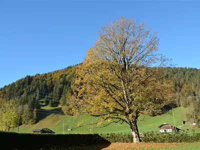 Aussicht