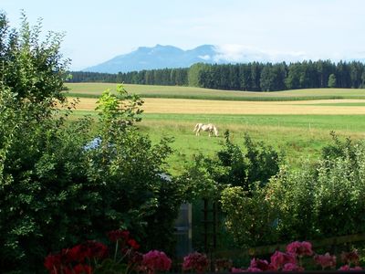 Blick vom Balkon