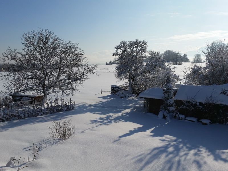 21544635-Ferienwohnung-8-Gstadt am Chiemsee-800x600-2