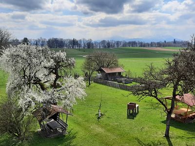 Ausblick vom Balkon