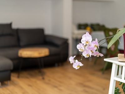 Detailanscicht Orchidee