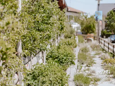 Wall