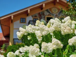 Ferienwohnung für 2 Personen (30 m²) in Gstadt am Chiemsee