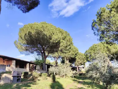 Ferienwohnung für 4 Personen (36 m²) in Guardistallo 5/10