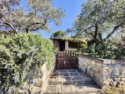 Ferienwohnung für 4 Personen (36 m²) in Guardistallo 6/10