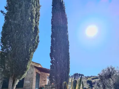 Ferienwohnung für 6 Personen (55 m²) in Guardistallo 6/10