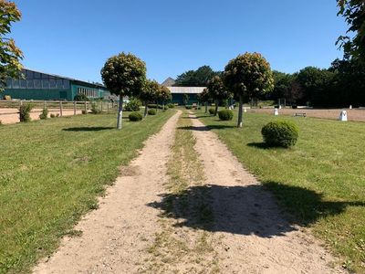 Ferienwohnung für 4 Personen (55 m²) in Güby 4/10