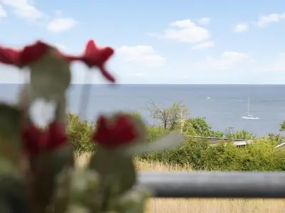 view-from-room