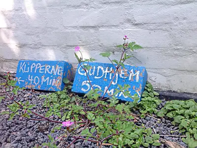 Ferienwohnung für 2 Personen (65 m²) in Gudhjem 10/10