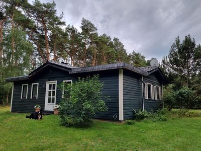 Ferienwohnung für 4 Personen (65 m²) in Gudow 4/10