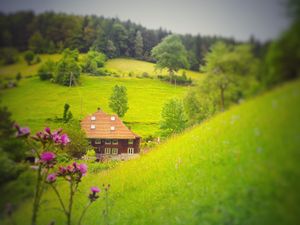 Ferienwohnung für 6 Personen (126 m&sup2;) in Gütenbach