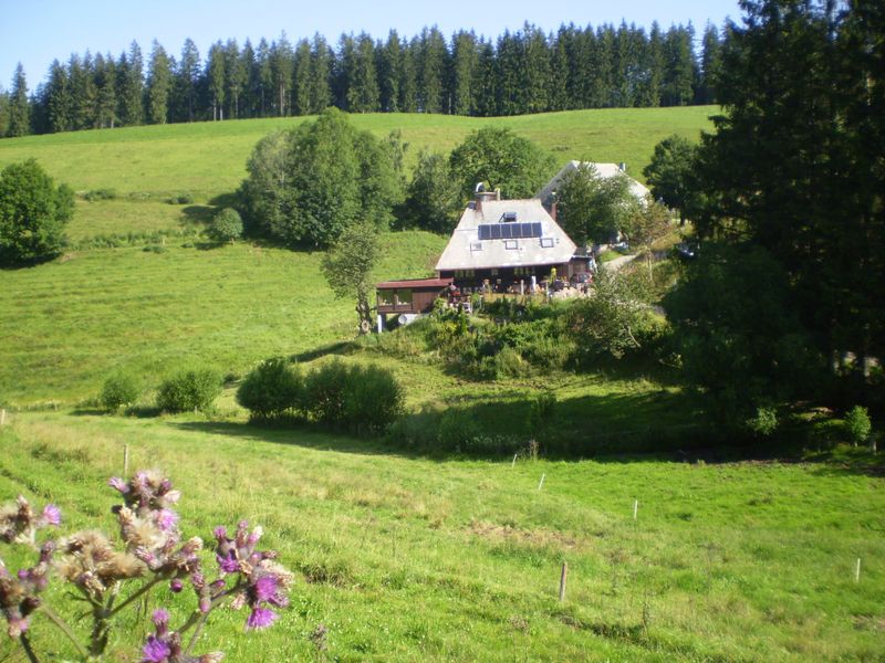 18383617-Ferienwohnung-2-Gütenbach-800x600-1