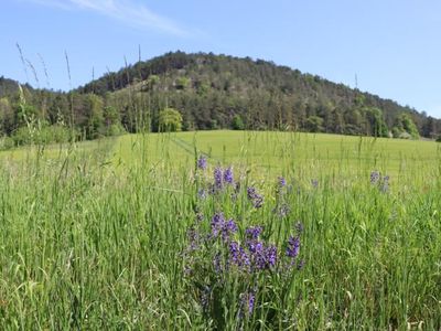 Landschaft_Reinstaedter_Grund