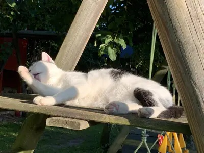 Ferienwohnung für 4 Personen in Gunzenhausen 1/9