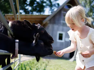 Ferienwohnung für 4 Personen (77 m²) in Gunzenhausen 1/10