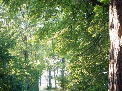 Ferienwohnung für 4 Personen (48 m²) in Gunzenhausen 1/8