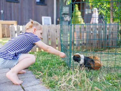 Ferienwohnung für 6 Personen (86 m²) in Gunzenhausen 1/10