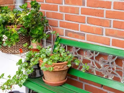 Ferienwohnung für 3 Personen (38 m²) in Güstrow 5/10