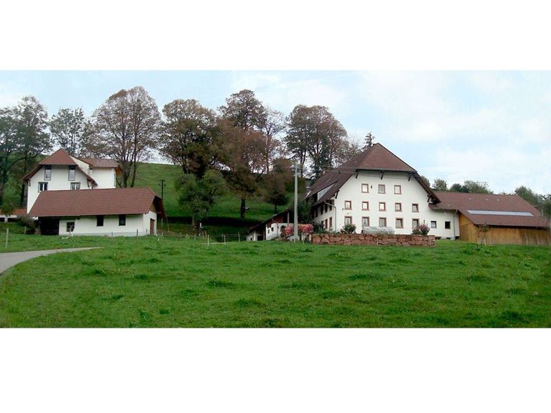 18565050-Ferienwohnung-6-Gutach im Breisgau-800x600-0