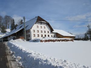 18565050-Ferienwohnung-6-Gutach im Breisgau-300x225-3